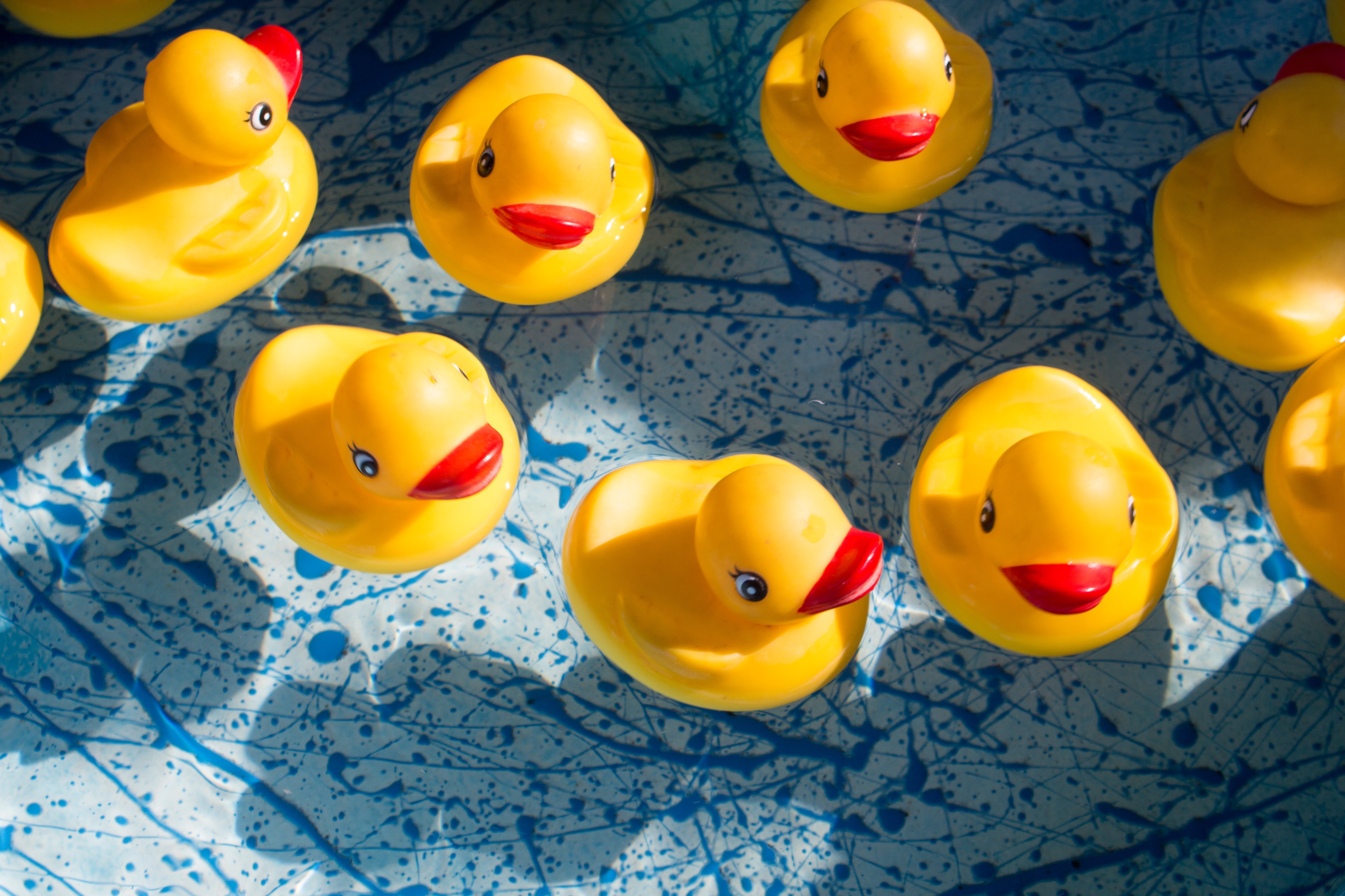 Rubber ducks